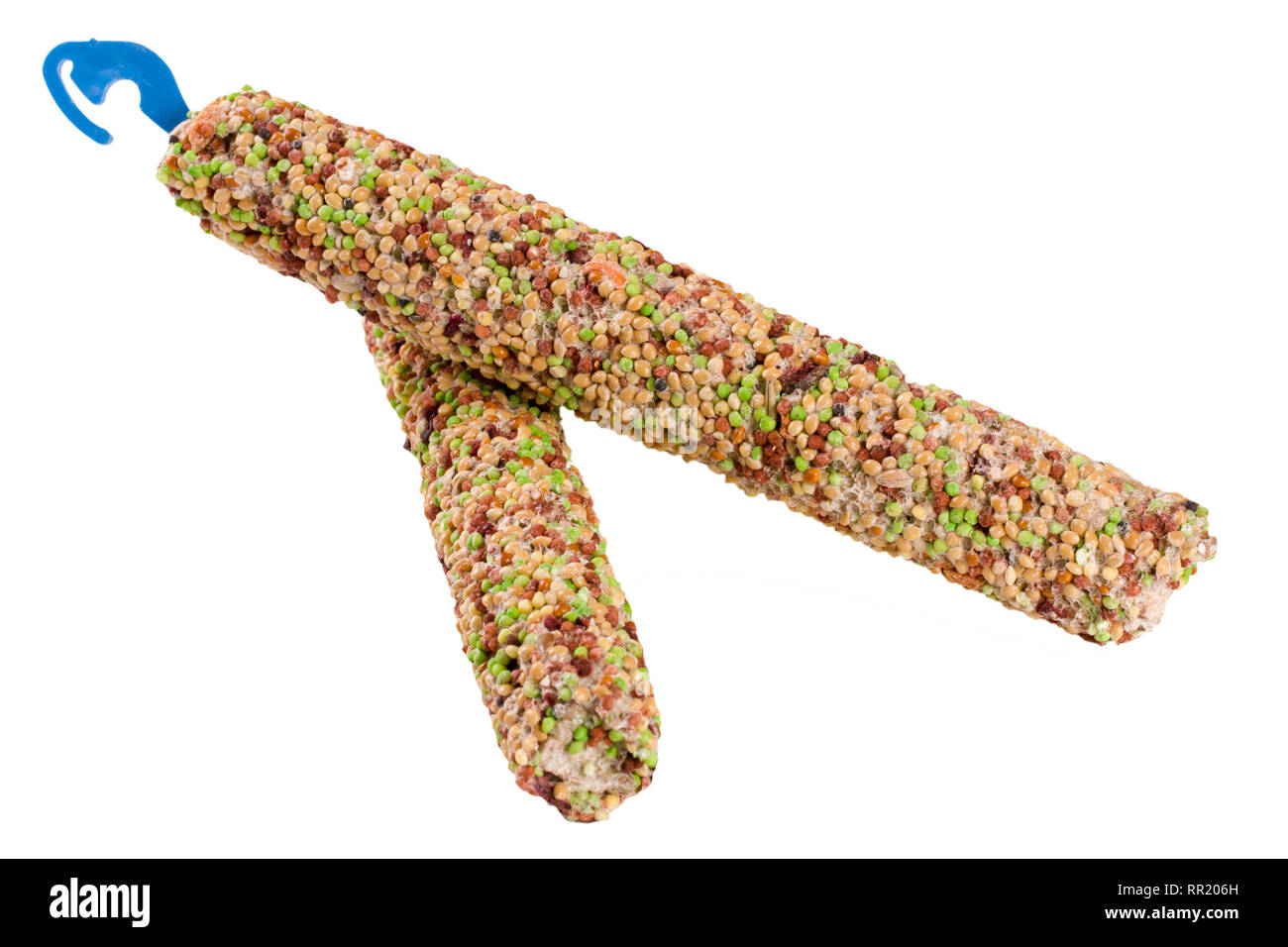 Nourriture pour perroquets sur un bâton isolé sur fond blanc Banque D'Images