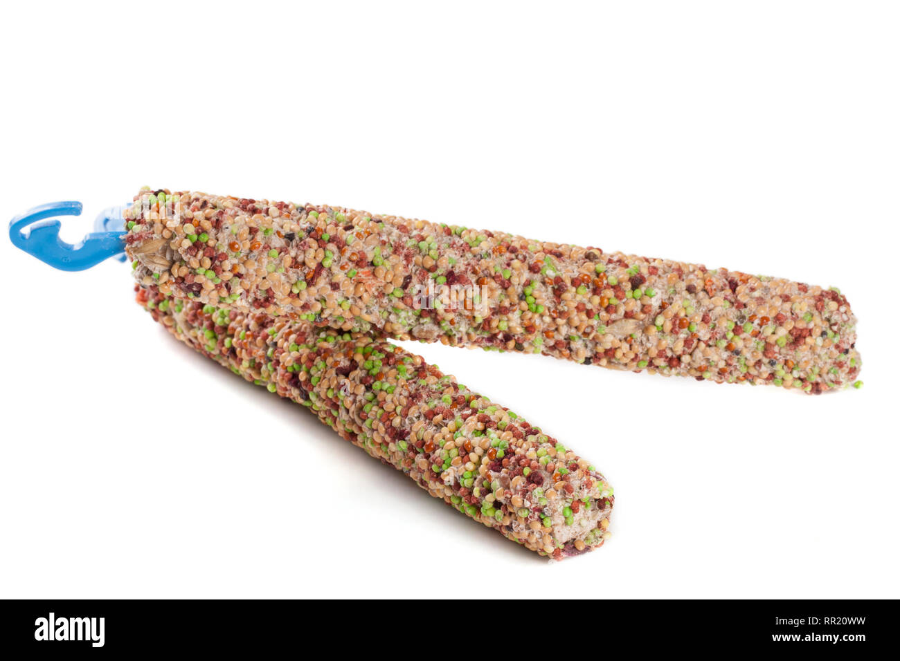 Nourriture pour perroquets sur un bâton isolé sur fond blanc Banque D'Images