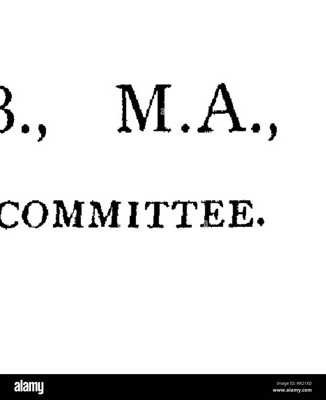 . Fauna hawaiiensis ;. Zoologie. Honlion : C. J. CLAY ET FILS, CAMBRIDGE UNIVERSITY PRESS, ENTREPÔT AVE MARIA LANE. ©lasBOto : 50, RUE WELLINGTON.. Enpjifi ; F, A. Brockhaus. lorfe ileto : The Macmillan Company. Bomiiajj antJ Calcutta : MACMILLAN ET CO., LTD.. Veuillez noter que ces images sont extraites de la page numérisée des images qui peuvent avoir été retouchées numériquement pour plus de lisibilité - coloration et l'aspect de ces illustrations ne peut pas parfaitement ressembler à l'œuvre originale.. Sharp, David, 1840-1922. ed ; Royal Society (Grande-Bretagne) ; Association britannique pour le progrès de la Science ; Bernice Banque D'Images