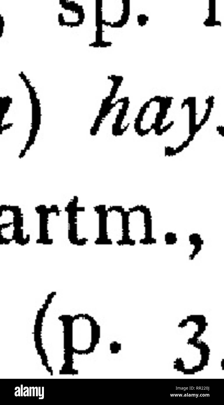 . Fauna hawaiiensis ;. Zoologie. Je # . Veuillez noter que ces images sont extraites de la page numérisée des images qui peuvent avoir été retouchées numériquement pour plus de lisibilité - coloration et l'aspect de ces illustrations ne peut pas parfaitement ressembler à l'œuvre originale.. Sharp, David, 1840-1922. ed ; Royal Society (Grande-Bretagne) ; Association britannique pour le progrès de la Science ; Bernice Pauahi Bishop Museum. Cambridge, ing. , L'University press Banque D'Images