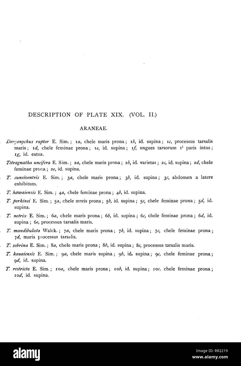 . Fauna hawaiiensis ;. Zoologie. HAWAHENSIS FAUNE VO !,.J' !,Pi;l'ATK):iX.. ^^dwin Wilson,nth. Carpbndoc F.Simon. Les araignées. (Tetragnatha.). Veuillez noter que ces images sont extraites de la page numérisée des images qui peuvent avoir été retouchées numériquement pour plus de lisibilité - coloration et l'aspect de ces illustrations ne peut pas parfaitement ressembler à l'œuvre originale.. Sharp, David, 1840-1922. ed ; Royal Society (Grande-Bretagne) ; Association britannique pour le progrès de la Science ; Bernice Pauahi Bishop Museum. Cambridge, ing. , L'University press Banque D'Images