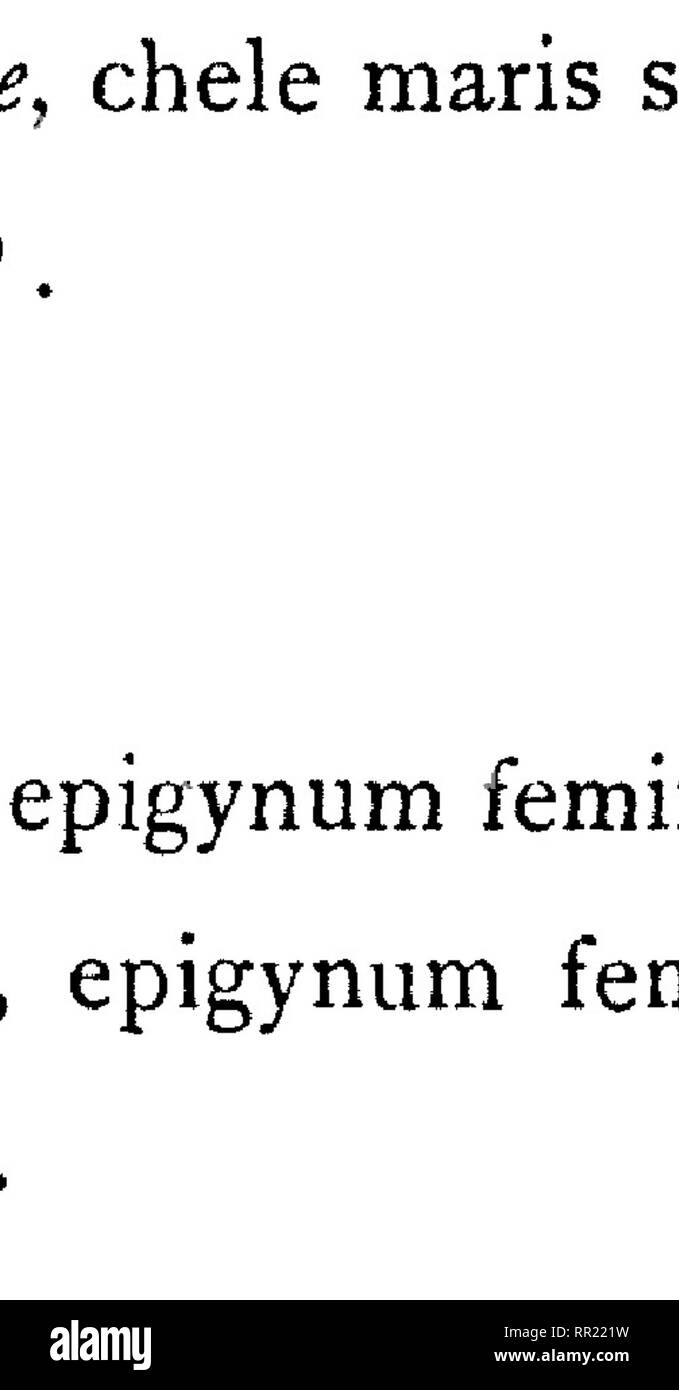 . Fauna hawaiiensis ;. Zoologie. . Veuillez noter que ces images sont extraites de la page numérisée des images qui peuvent avoir été retouchées numériquement pour plus de lisibilité - coloration et l'aspect de ces illustrations ne peut pas parfaitement ressembler à l'œuvre originale.. Sharp, David, 1840-1922. ed ; Royal Society (Grande-Bretagne) ; Association britannique pour le progrès de la Science ; Bernice Pauahi Bishop Museum. Cambridge, ing. , L'University press Banque D'Images