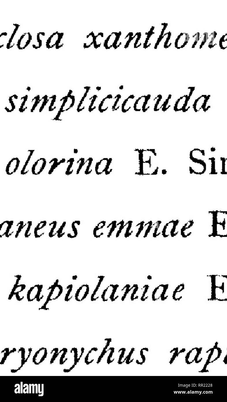 . Fauna hawaiiensis ;. Zoologie. I / I I. ?s. Veuillez noter que ces images sont extraites de la page numérisée des images qui peuvent avoir été retouchées numériquement pour plus de lisibilité - coloration et l'aspect de ces illustrations ne peut pas parfaitement ressembler à l'œuvre originale.. Sharp, David, 1840-1922. ed ; Royal Society (Grande-Bretagne) ; Association britannique pour le progrès de la Science ; Bernice Pauahi Bishop Museum. Cambridge, ing. , L'University press Banque D'Images