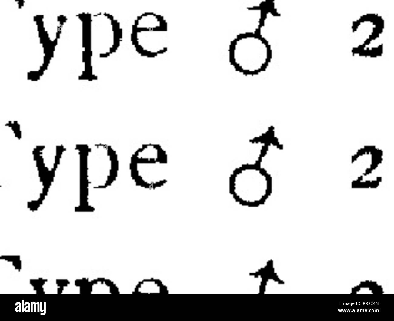 . Fauna hawaiiensis ;. Zoologie.  :*Fc^ m -f^l "" :*. =,. Veuillez noter que ces images sont extraites de la page numérisée des images qui peuvent avoir été retouchées numériquement pour plus de lisibilité - coloration et l'aspect de ces illustrations ne peut pas parfaitement ressembler à l'œuvre originale.. Sharp, David, 1840-1922. ed ; Royal Society (Grande-Bretagne) ; Association britannique pour le progrès de la Science ; Bernice Pauahi Bishop Museum. Cambridge, ing. , L'University press Banque D'Images
