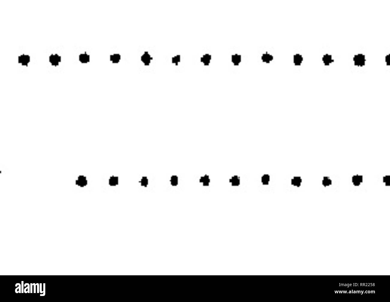 . Fauna hawaiiensis ;. Zoologie. y"^^ s-gt ;. Veuillez noter que ces images sont extraites de la page numérisée des images qui peuvent avoir été retouchées numériquement pour plus de lisibilité - coloration et l'aspect de ces illustrations ne peut pas parfaitement ressembler à l'œuvre originale.. Sharp, David, 1840-1922. ed ; Royal Society (Grande-Bretagne) ; Association britannique pour le progrès de la Science ; Bernice Pauahi Bishop Museum. Cambridge, ing. , L'University press Banque D'Images