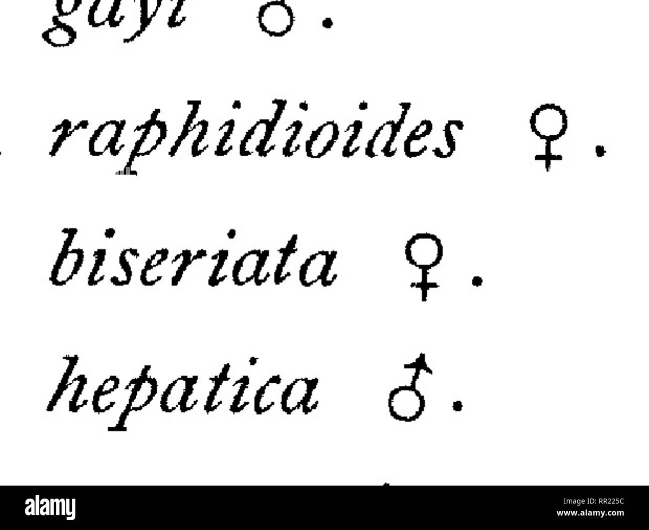 . Fauna hawaiiensis ;. Zoologie. i*. Veuillez noter que ces images sont extraites de la page numérisée des images qui peuvent avoir été retouchées numériquement pour plus de lisibilité - coloration et l'aspect de ces illustrations ne peut pas parfaitement ressembler à l'œuvre originale.. Sharp, David, 1840-1922. ed ; Royal Society (Grande-Bretagne) ; Association britannique pour le progrès de la Science ; Bernice Pauahi Bishop Museum. Cambridge, ing. , L'University press Banque D'Images