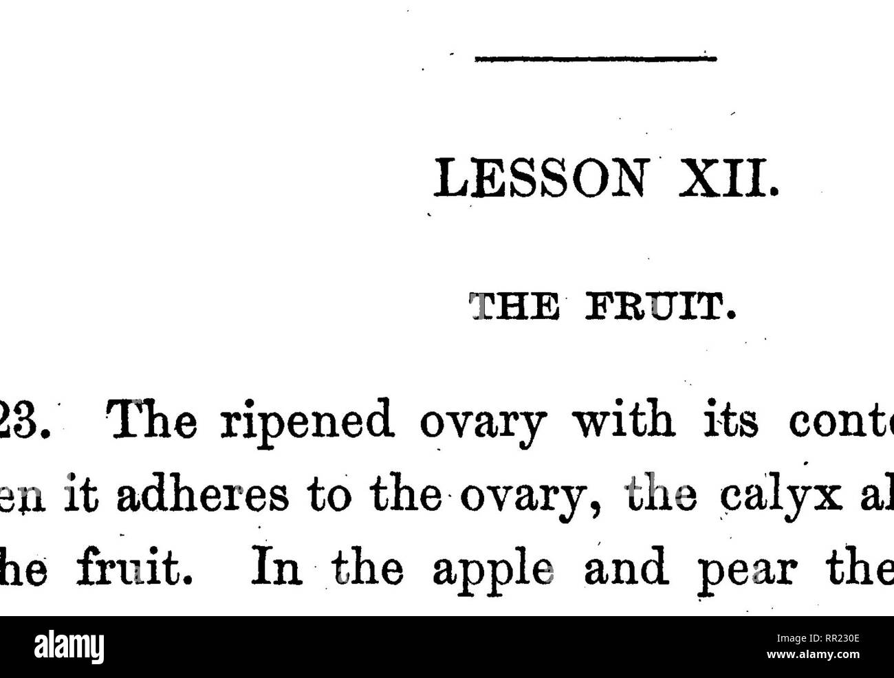 . Une botanique ; condensé. La botanique. 82 sewall's botanique. 124. Quelques fruits, que l'on appelle communément, les fruits ne sont pas du tout, selon la définition que vient de donner. Une fraise, par exemple, n'est qu'une grande et pulpeuse tige (prise femelle), portant à sa surface les vrais fruits, les ovaires mûrs, communément appelées graines.. Veuillez noter que ces images sont extraites de la page numérisée des images qui peuvent avoir été retouchées numériquement pour plus de lisibilité - coloration et l'aspect de ces illustrations ne peut pas parfaitement ressembler à l'œuvre originale.. Sewall, Joseph Addison, 1830-1917. Chicago, G. Sherwood &AMP ; co Banque D'Images