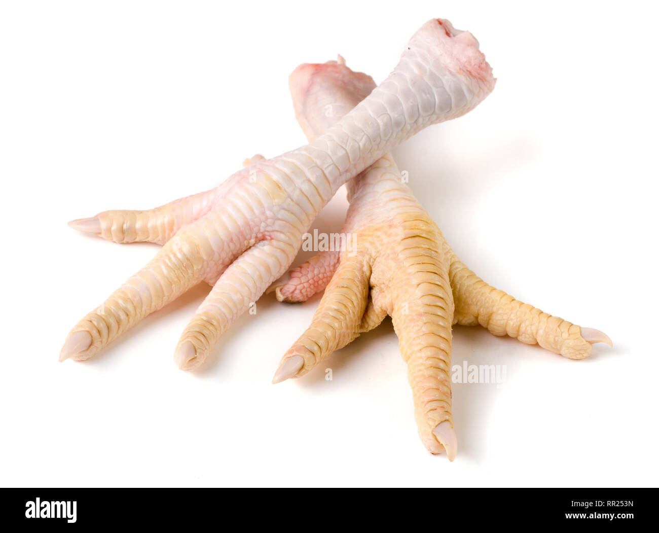 Deux pieds de poulet isolé sur fond blanc Banque D'Images