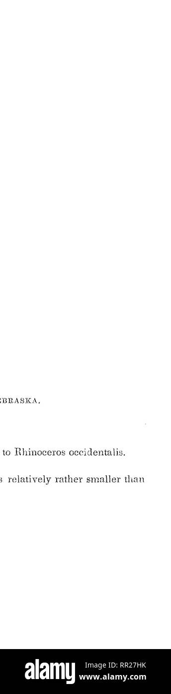 . Rapport d'une commission géologique du Wisconsin, l'Iowa et le Minnesota, et soit dit en passant d'une partie du territoire du Nebraska. En vertu des instructions du département du Trésor des États-Unis. La géologie, la paléontologie, la botanique, la botanique, les oiseaux, les oiseaux. '^1 h. Veuillez noter que ces images sont extraites de la page numérisée des images qui peuvent avoir été retouchées numériquement pour plus de lisibilité - coloration et l'aspect de ces illustrations ne peut pas parfaitement ressembler à l'œuvre originale.. Owen, David Dale, 1807-1860 ; Leidy, Joseph, 1823-1891 ; Norwood, J. G. (Joseph Granville), 1807-1895 ; Parry, C. C. (Charles Christop Banque D'Images