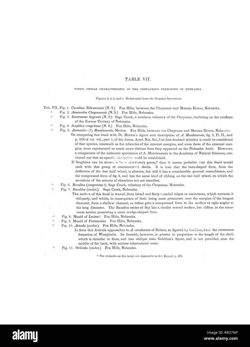 . Rapport d'une commission géologique du Wisconsin, l'Iowa et le Minnesota, et soit dit en passant d'une partie du territoire du Nebraska. En vertu des instructions du département du Trésor des États-Unis. La géologie, la paléontologie, la botanique, la botanique, les oiseaux, les oiseaux. D.D.Owen,. Ti6^ 2,3A B.k-rijled Médaille'bj PL.TA/iiteclrarcli,à J.M.Butler's E stabli :,lirio.. Veuillez noter que ces images sont extraites de la page numérisée des images qui peuvent avoir été retouchées numériquement pour plus de lisibilité - coloration et l'aspect de ces illustrations ne peut pas parfaitement ressembler à l'œuvre originale.. Owen, David Dale, 1807-1860 ; Leidy, Joseph, 1 Banque D'Images