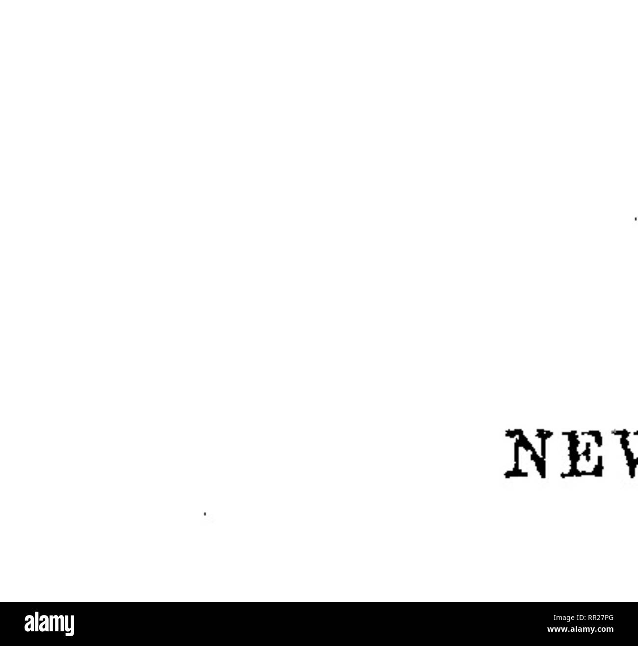 . Rapport d'une commission géologique du Wisconsin, l'Iowa et le Minnesota, et soit dit en passant d'une partie du territoire du Nebraska. En vertu des instructions du département du Trésor des États-Unis. La géologie, la paléontologie, la botanique, la botanique, les oiseaux, les oiseaux. '[Ab.a..B, côté gauche, 2, b-. T^. Veuillez noter que ces images sont extraites de la page numérisée des images qui peuvent avoir été retouchées numériquement pour plus de lisibilité - coloration et l'aspect de ces illustrations ne peut pas parfaitement ressembler à l'œuvre originale.. Owen, David Dale, 1807-1860 ; Leidy, Joseph, 1823-1891 ; Norwood, J. G. (Joseph Granville), 1807-1895 ; Parry, C. C Banque D'Images