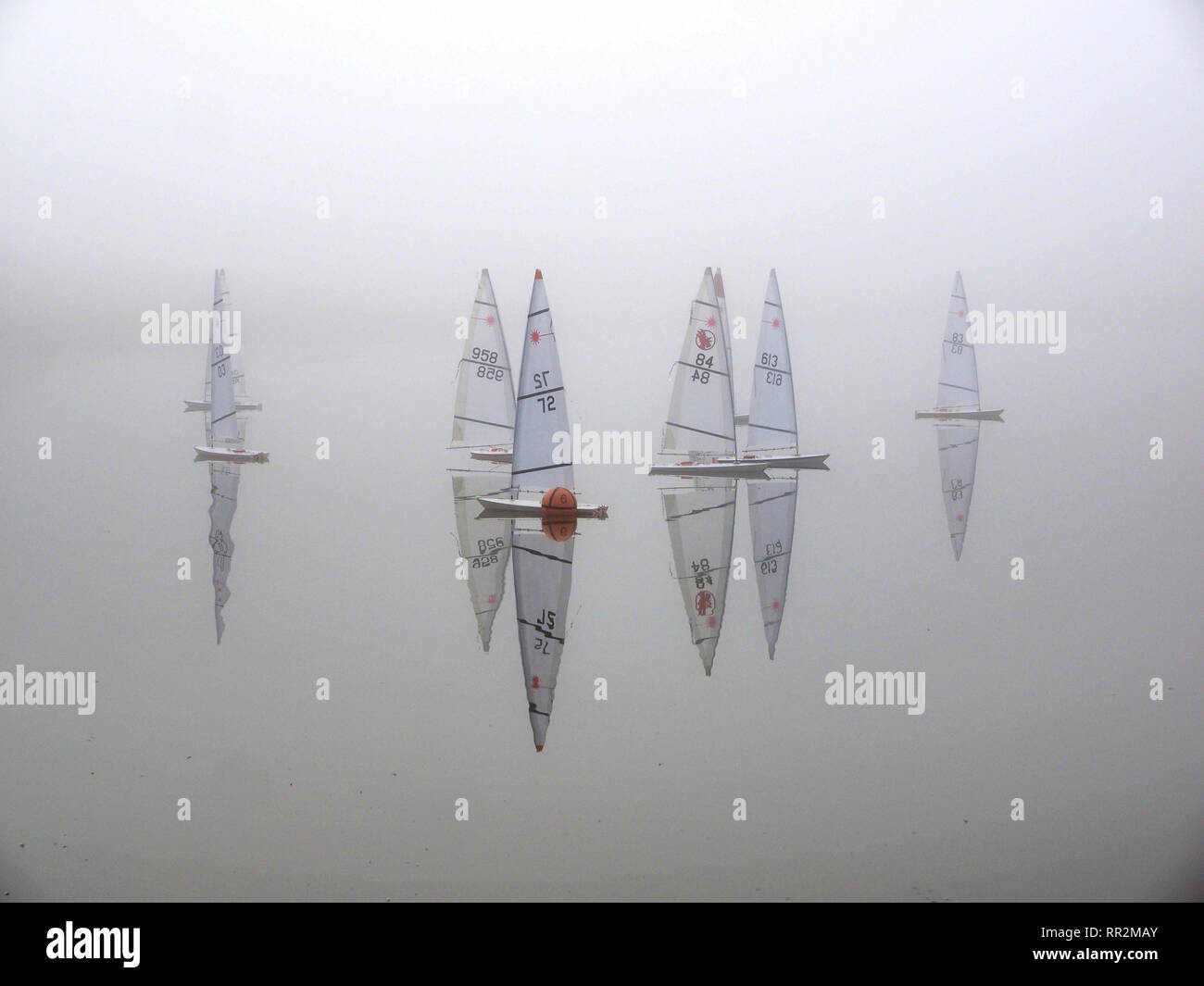 Sheerness, Kent, UK. 24 Février, 2019. Météo France : un épais brouillard dans Sheerness, Kent ce matin. RC modèle Lasers (une version réduite du réel, célèbre canot voile Laser) à partir de la Medway Yacht Club tenter une course sur le petit lac à Barton's Point Parc Côtier, Sheerness dans un épais brouillard et des vents légers. Credit : James Bell/Alamy Live News Banque D'Images