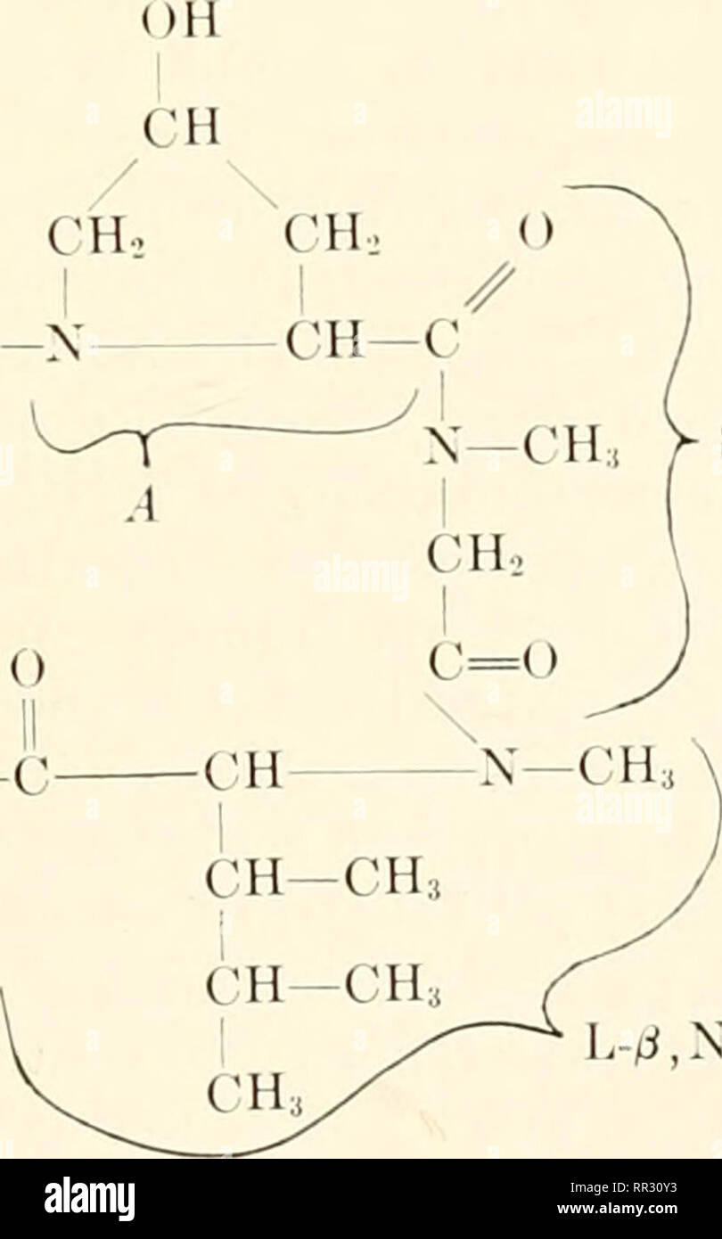 Les actinomycètes. Actinomycetales. c =o 0 0 1 CH-X-C-CH-NH-C ! J'CH, CH3  L-.laniiu'. La sarcosine L-^, X-l)iiiiethylleuciiie Hydrochloride : m.p.  163-170°C (décomposition). Soluble dans le méthanol, l'éthanol, le  formamide, et dans