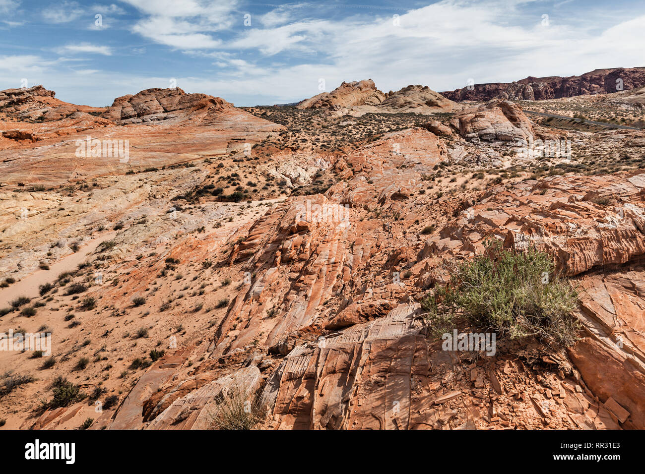 Rock formations in stone desert au Valley of Fire State Park, du paysage dans Southenr Nevada, États-Unis Banque D'Images
