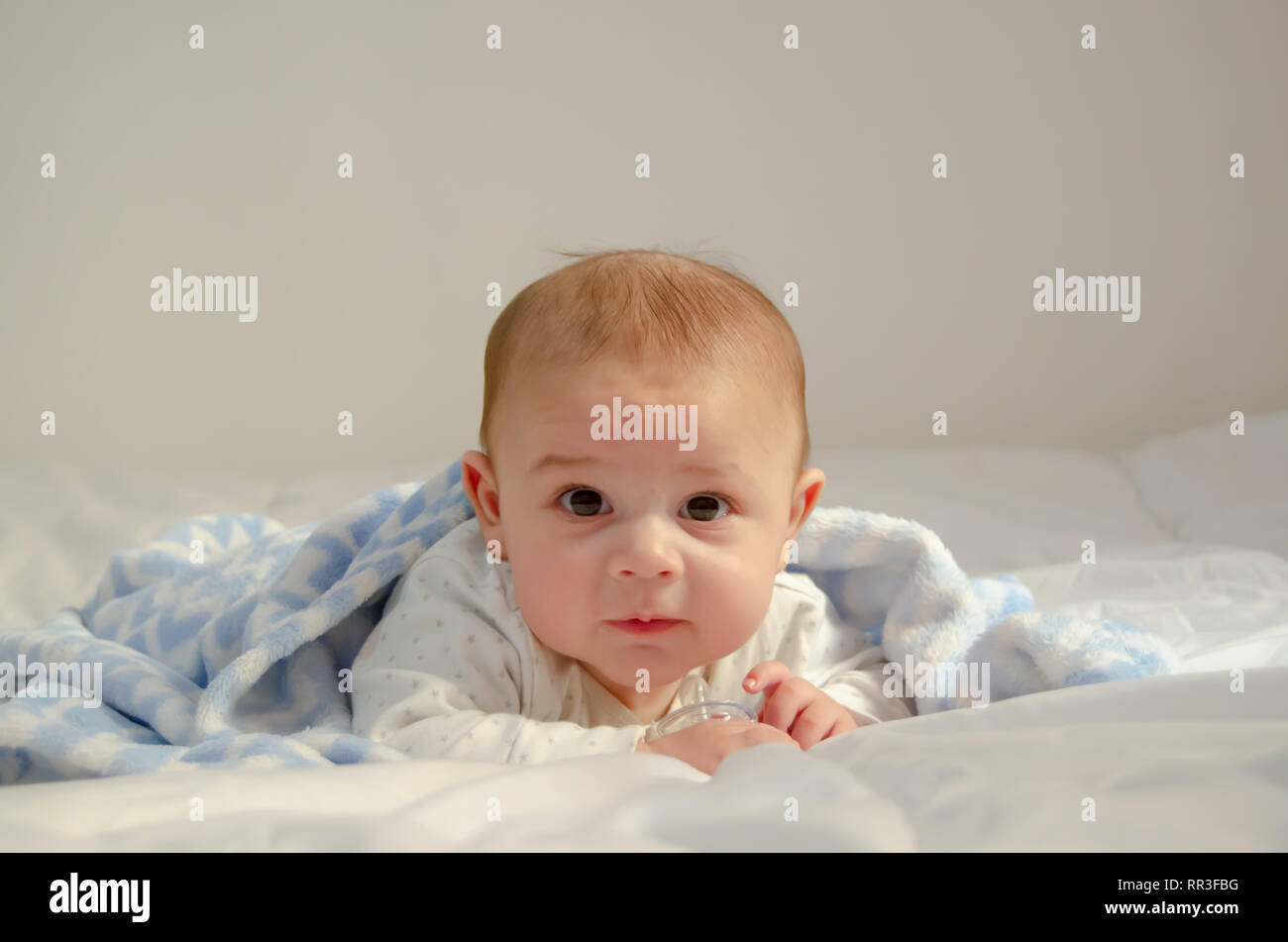 Cute 4 Mois Bebe Garcon Ayant A Plat Ventre Sur L Edredon Blanc Couvert De Couverture Bleue Sante Et Enfance Heureux Concept Photo Stock Alamy Cute 4 Mois Bebe Garcon Ayant A Plat Ventre Sur L Edredon Blanc Couvert De Couverture Bleue Sante Et Enfance Heureux Concept Photo Stock Alamy