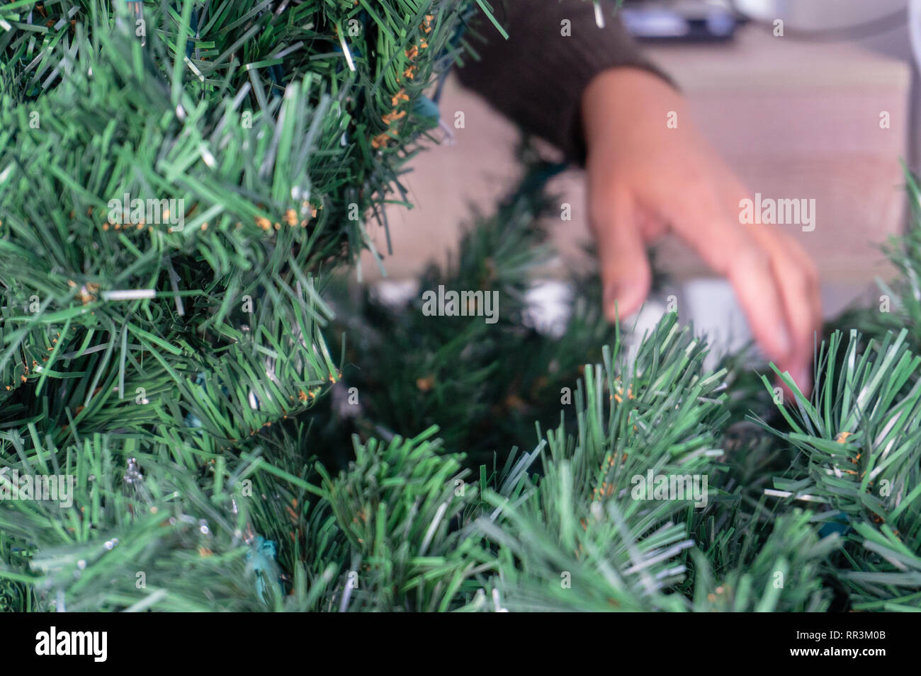 Démêler les mains un arbre de Noël artificiel sans ornements. Banque D'Images
