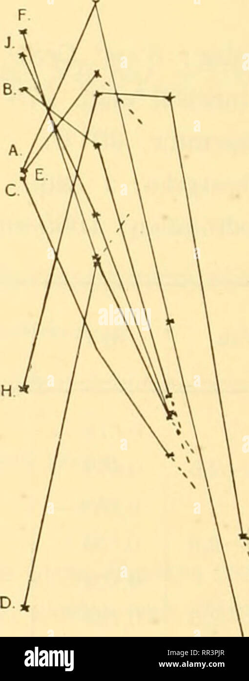 . Acta Societatis Scientiarum Fennicae. La science. 10 20 30 Fig. XII.. Veuillez noter que ces images sont extraites de la page numérisée des images qui peuvent avoir été retouchées numériquement pour plus de lisibilité - coloration et l'aspect de ces illustrations ne peut pas parfaitement ressembler à l'œuvre originale.. Suomen Tiedeseura. Helsingfors : [Suomen Tiedeseura] Banque D'Images