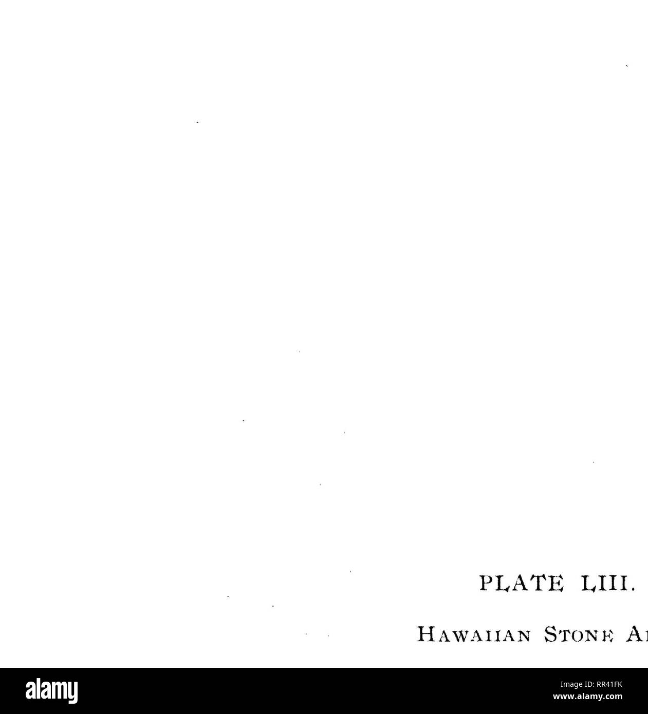 . Mémoires de l'Bernice Pauahi Bishop Museum d'histoire naturelle et d'Ethnologie polynésiennes. L'histoire naturelle, de l'Ethnologie. Ml"^^^MiU 15lsl|ni. M, si : i I'l.ATF. 1.IIL. 11A LA PREMIÈRE GUERRE MONDIALE, J'ai un X S'Vi) X K A1)z ; !•:s,. Veuillez noter que ces images sont extraites de la page numérisée des images qui peuvent avoir été retouchées numériquement pour plus de lisibilité - coloration et l'aspect de ces illustrations ne peut pas parfaitement ressembler à l'œuvre originale.. Bernice Pauahi Bishop Museum. Honolulu : Bishop Museum Press Banque D'Images