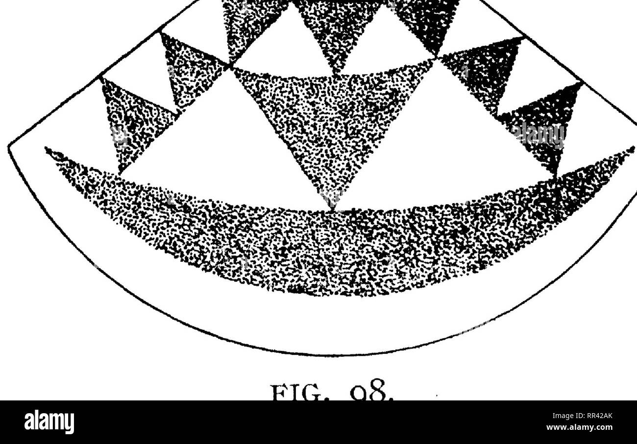. Mémoires de l'Bernice Pauahi Bishop Museum d'histoire naturelle et d'Ethnologie polynésiennes. L'histoire naturelle, de l'Ethnologie. FIG. 99. J'j'^j. 100. 67. Le Cap, ou plutôt la valeur de ce qui était autrefois une cape, sur lequel des traces de plumes rouges et jaunes peuvent être vus par l'aide d'une lentille. Bien sûr, pas de ])attern peut être établie. La marge supérieure est de 33 pouces ; la base, 54,2 pouces, 15,7 pouces, lengtli. vSup- posés d'avoir été portée à l'Europe le troisième voyage, cuisiniers et, comme précédent, était bien^ ans attaché aux murs de l'ancien musée à Florence, où il a perdu toutes ses plumes.^^ ces deux capes sont Banque D'Images
