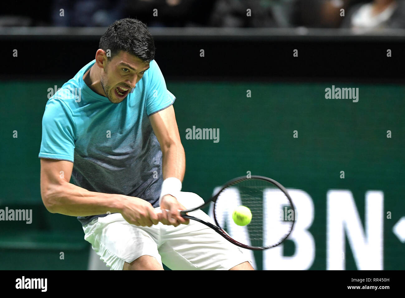 11 février 2019 Rotterdam, Pays-Bas Tennis ABN AMRO World Tennis Tournament Banque D'Images