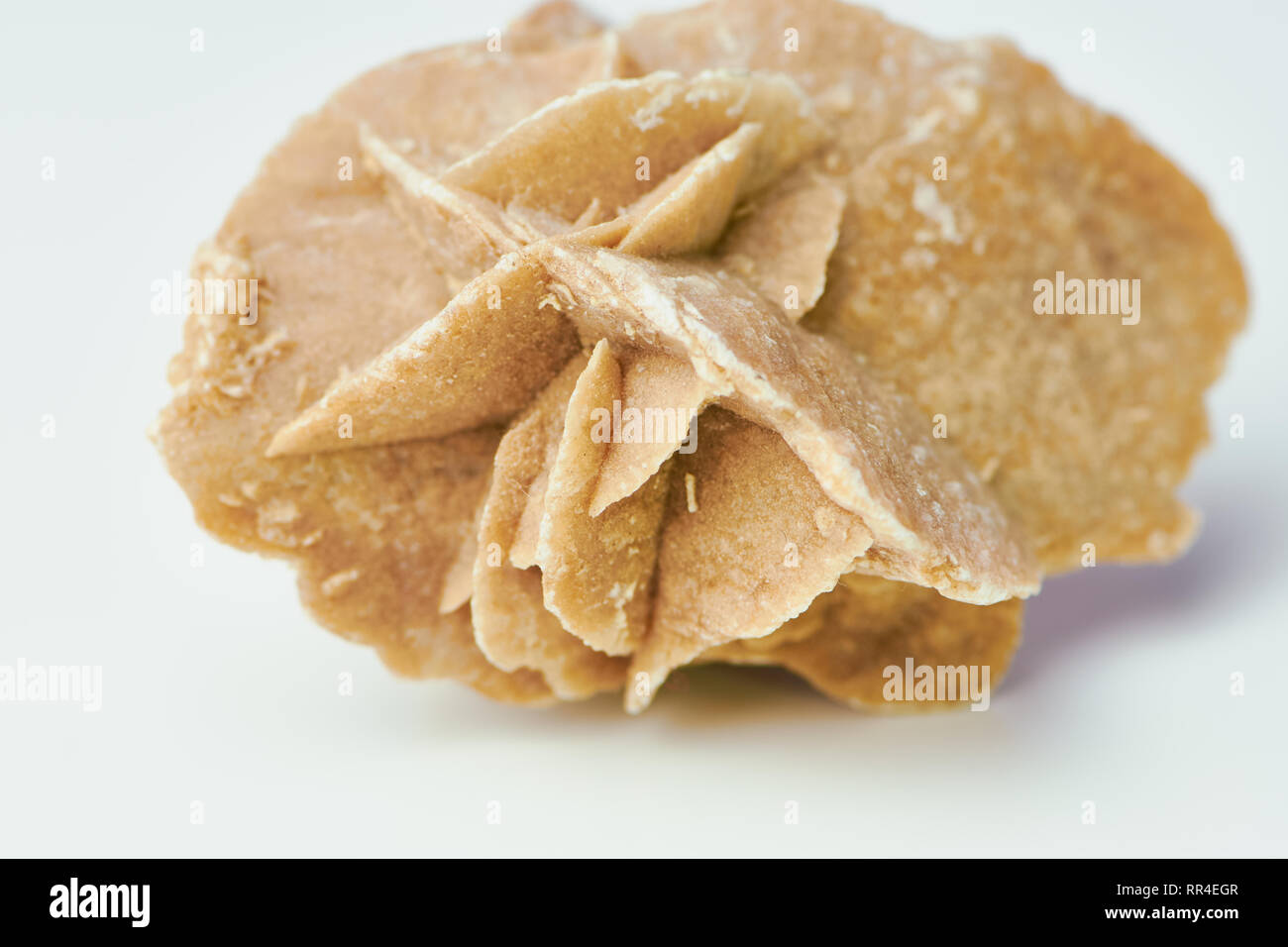 Couleur macro photo d'une rose du désert sur une surface blanche Banque D'Images
