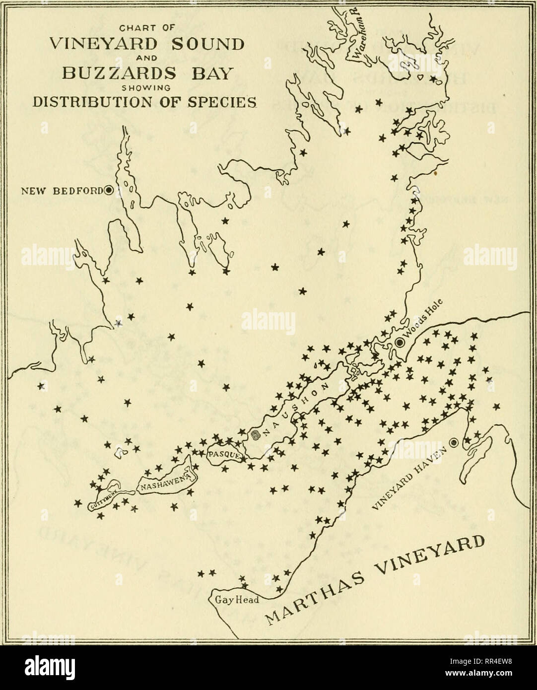 . [Un relevé biologique des eaux de Woods Hole et environs. Animaux marins ; les plantes marines. BULLETIN 330 DU BUREAU DES PÊCHES DE L'OP.. Graphique 112.-Pagurus annulipes.. Veuillez noter que ces images sont extraites de la page numérisée des images qui peuvent avoir été retouchées numériquement pour plus de lisibilité - coloration et l'aspect de ces illustrations ne peut pas parfaitement ressembler à l'œuvre originale.. Sumner, Francis Bertody, 1874- ; Osburn, Raymond C. (1728-1816), Raymond 1872-1955 ; Cole, Léon Jacob, 1877- ; Davis, M. Bradley (Bradley Moore), b. 1871 ; United States. Bureau des pêches. Washington : Govt. Imprimer Banque D'Images