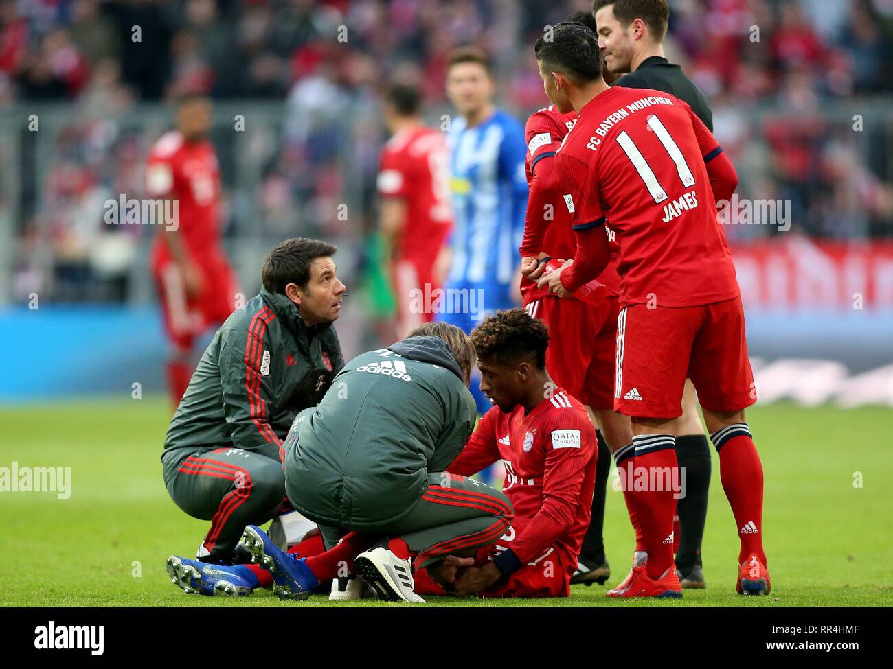 Firo : 23.02.2019, Football, 1.Bundesliga, la saison 2018/2019, le FC Bayern Munich - Hertha BSC Berlin, blessure, Kingsey COMAN, FC Bayern Munich Munich, plein la figure, dans le monde d'utilisation | Banque D'Images