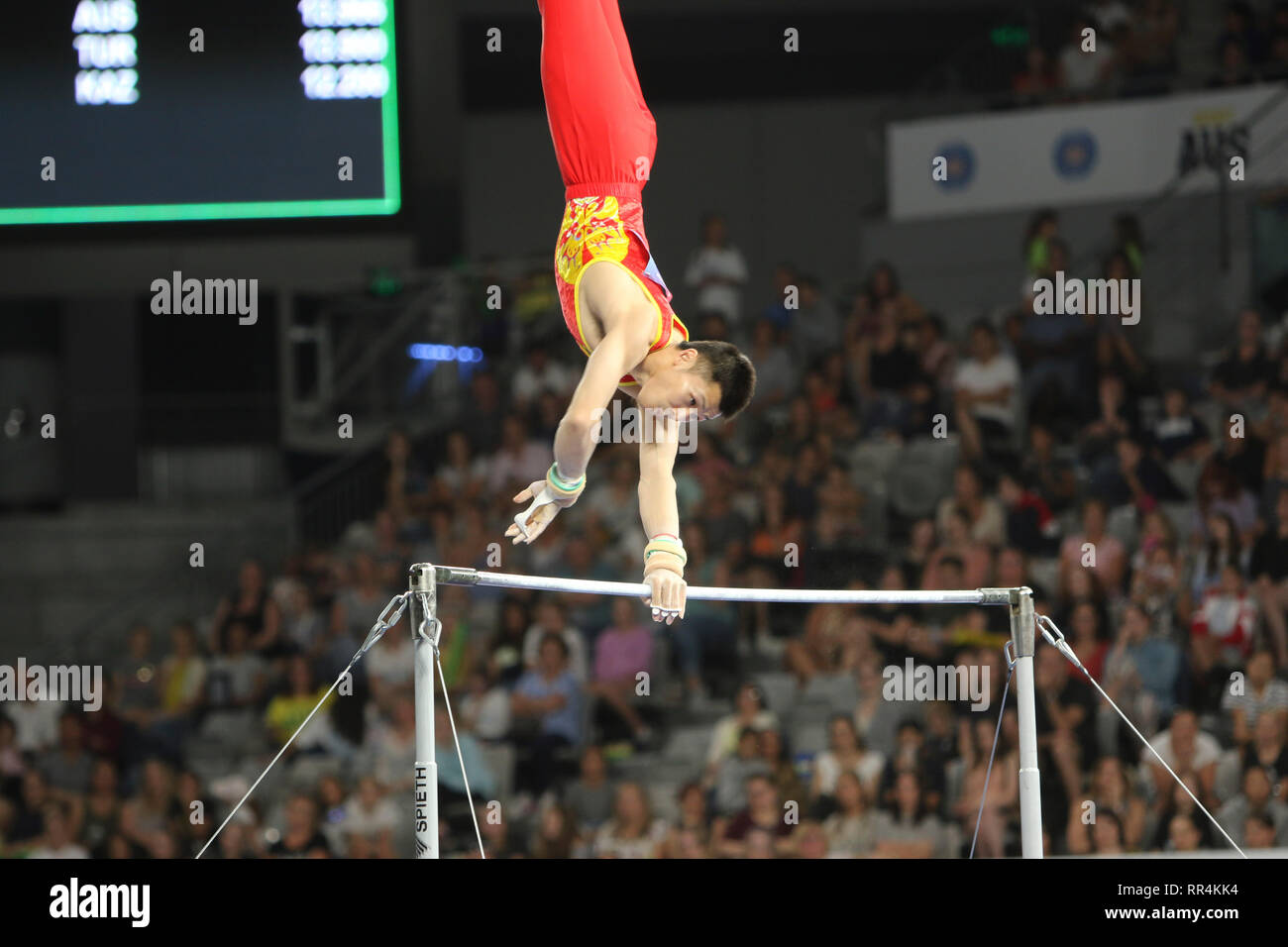 Melbourne, Victoria, Australie. 24 Février, 2019. Coupe du Monde de Gymnastique - Jour 4 finale - 24 février 2019 - Aréna de Melbourne, Melbourne, Victoria, Australie. Mens High Bar finale - Zhang Chenglong concurrent représentant le RCS au cours de sa routine. Credit : brett keating/Alamy Live News Banque D'Images