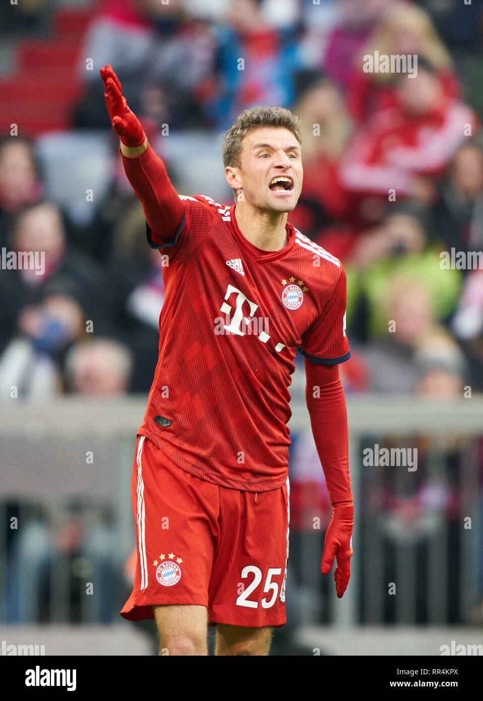 Munich, Allemagne. 23 Février, 2019. Thomas Mueller, MÜLLER, FCB 25 gesticuler, donner des instructions, action, seule image, le geste, un mouvement de la main, en soulignant, d'interpréter, de mimik, FC BAYERN MUNICH - Hertha BSC Berlin 1-0 - DFL RÈGLEMENT INTERDIT TOUTE UTILISATION DES PHOTOGRAPHIES comme des séquences d'images et/ou quasi-vidéo - 1.ligue de soccer allemand , Munich, le 23 février 2019, journée 24 saison 2018/2019, FCB, München, © Peter Schatz / Alamy Live News Banque D'Images