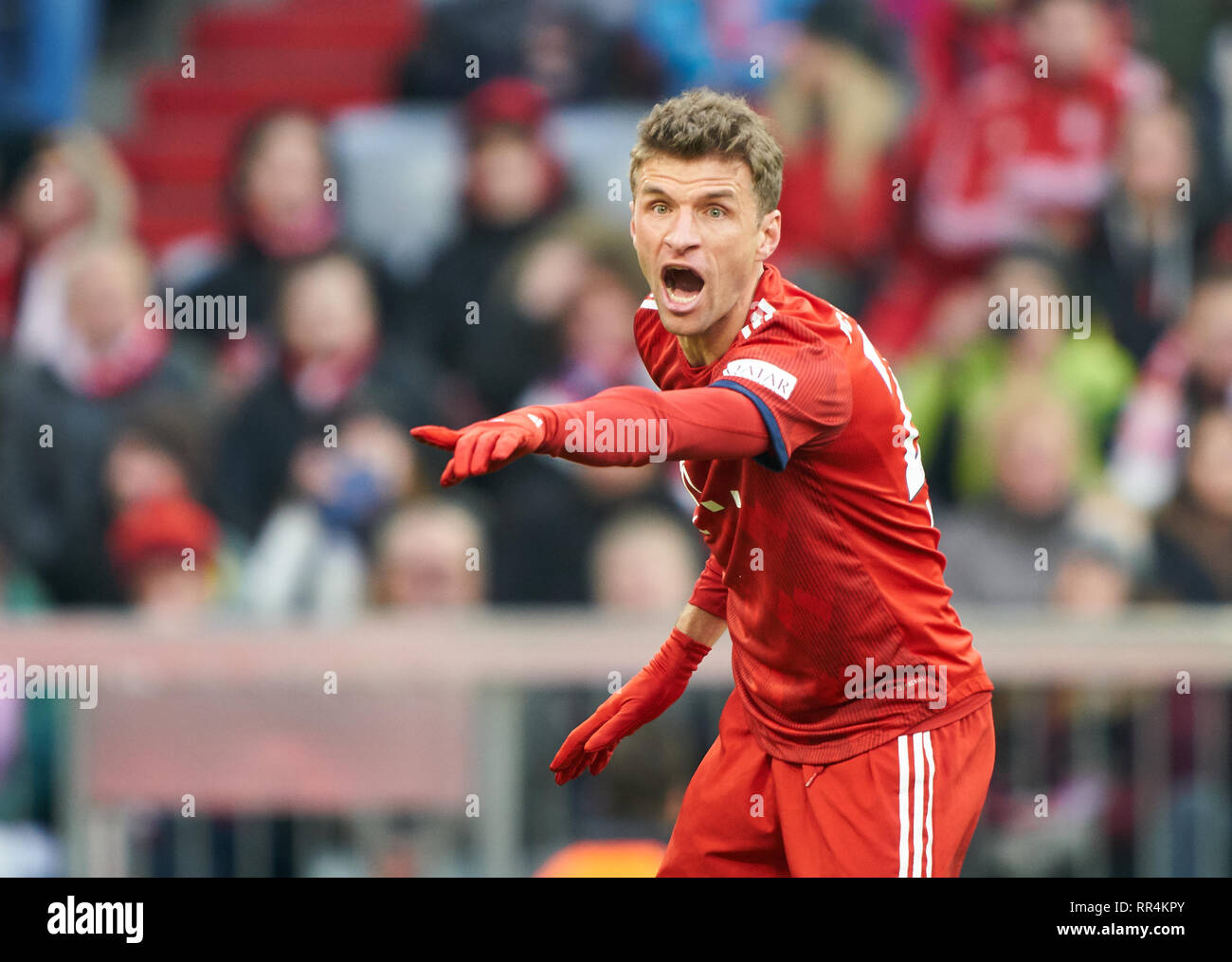 Munich, Allemagne. 23 Février, 2019. Thomas Mueller, MÜLLER, FCB 25 gesticuler, donner des instructions, action, seule image, le geste, un mouvement de la main, en soulignant, d'interpréter, de mimik, FC BAYERN MUNICH - Hertha BSC Berlin 1-0 - DFL RÈGLEMENT INTERDIT TOUTE UTILISATION DES PHOTOGRAPHIES comme des séquences d'images et/ou quasi-vidéo - 1.ligue de soccer allemand , Munich, le 23 février 2019, journée 24 saison 2018/2019, FCB, München, © Peter Schatz / Alamy Live News Banque D'Images