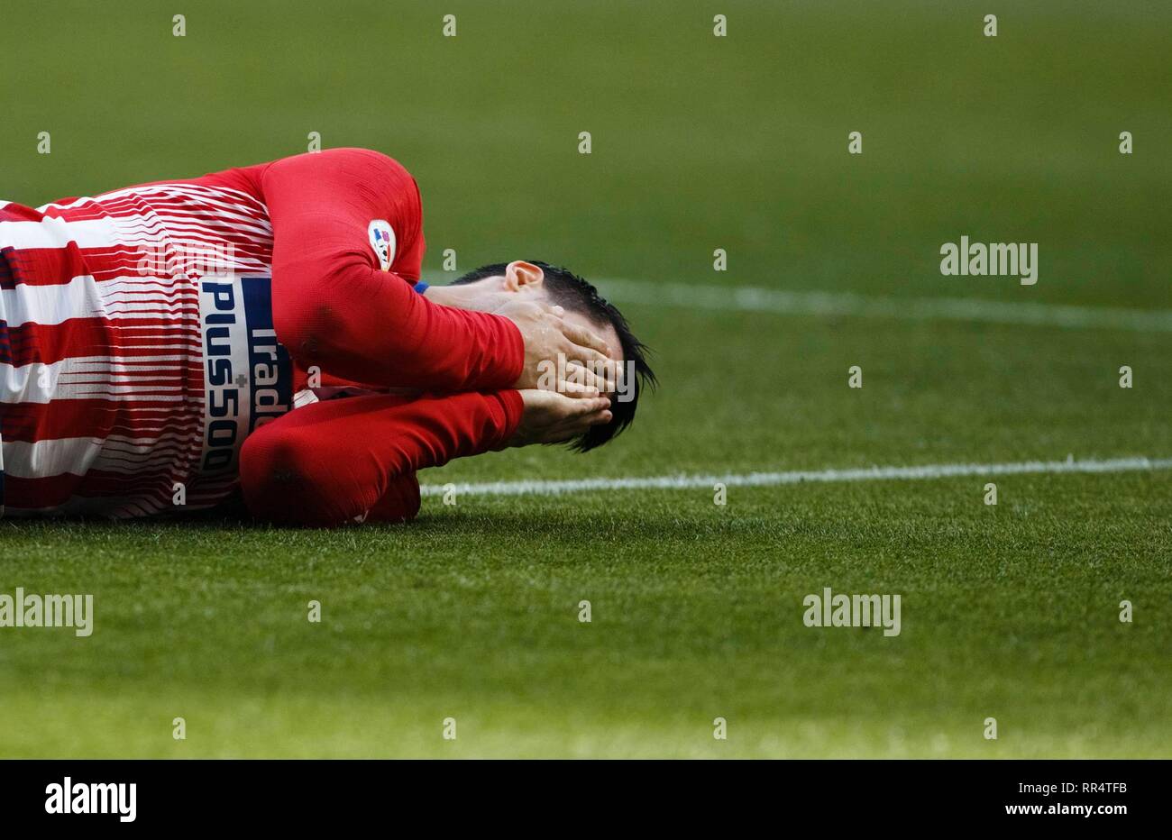 Madrid, Espagne. Feb 24, 2019. Morata de l'Atletico de Madrid au cours de l'LaLiga 2018/19 match entre l'Atletico de Madrid et Villarreal, Wanda au stade Metropolitano de Madrid le 24 février 2019. (Photo de Guille Martinez/Cordon Press) Credit : CORDON PRESS/Alamy Live News Banque D'Images