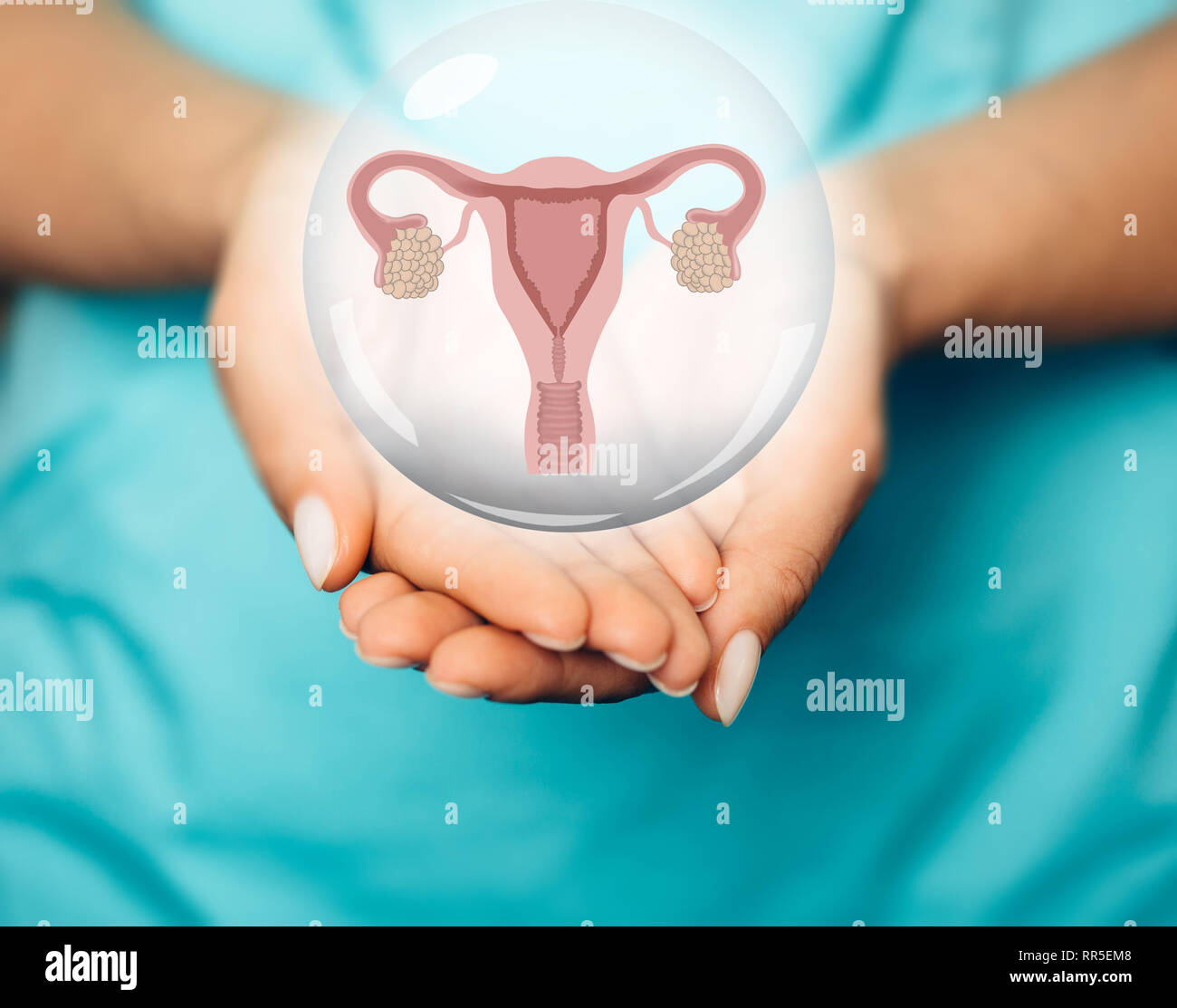 Gynécologue montrant un modèle virtuel de l'utérus et des ovaires. Système reproducteur femelle Banque D'Images