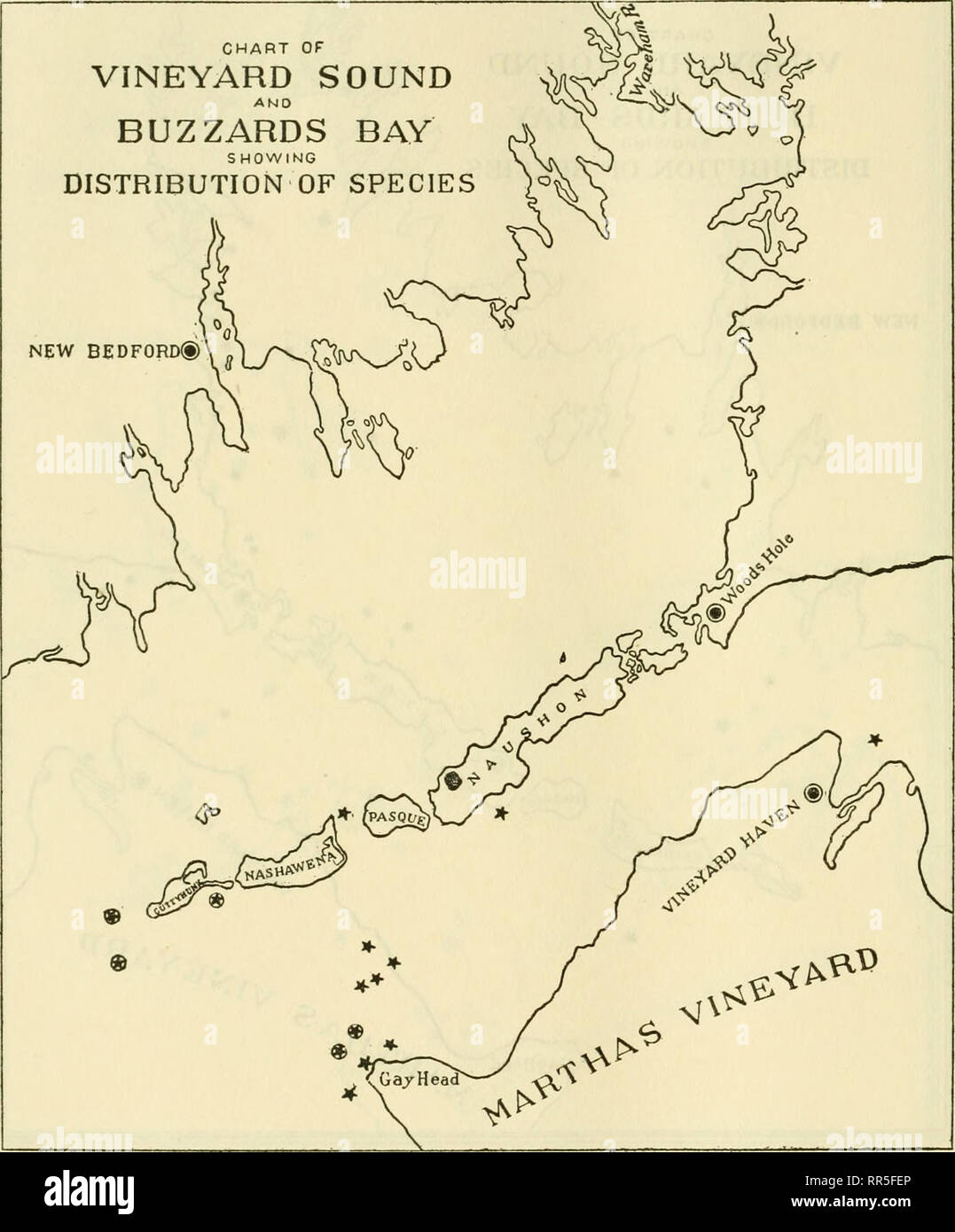 . [Un relevé biologique des eaux de Woods Hole et environs. Animaux marins ; les plantes marines. 384 BULLETIN DU BUREAU DES PÊCHES.. Tableau i66.-Buccinum undatum. (Voir explication du tableau 26.). Veuillez noter que ces images sont extraites de la page numérisée des images qui peuvent avoir été retouchées numériquement pour plus de lisibilité - coloration et l'aspect de ces illustrations ne peut pas parfaitement ressembler à l'œuvre originale.. Sumner, Francis Bertody, 1874- ; Osburn, Raymond C. (1728-1816), Raymond 1872-1955 ; Cole, Léon Jacob, 1877- ; Davis, M. Bradley (Bradley Moore), b. 1871 ; United States. Bureau des pêches Banque D'Images