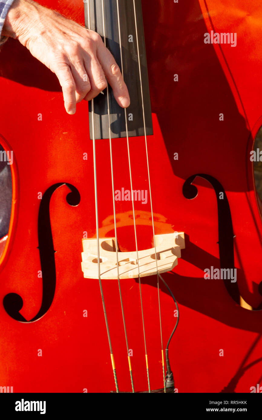 Gros plan d'une part, de gratter les cordes d'une contrebasse en plein soleil, montrant la touche F, pont et trou Banque D'Images