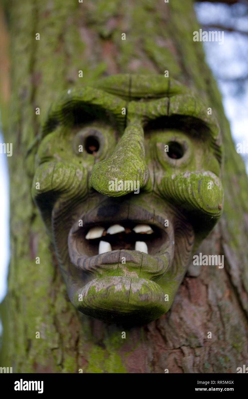 Visage sculpté en bois on tree Banque D'Images