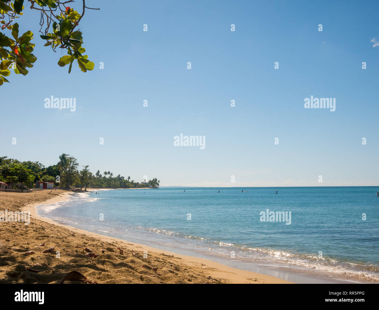 Playa Rincon beach, Puerto Rico, Etats-Unis Banque D'Images