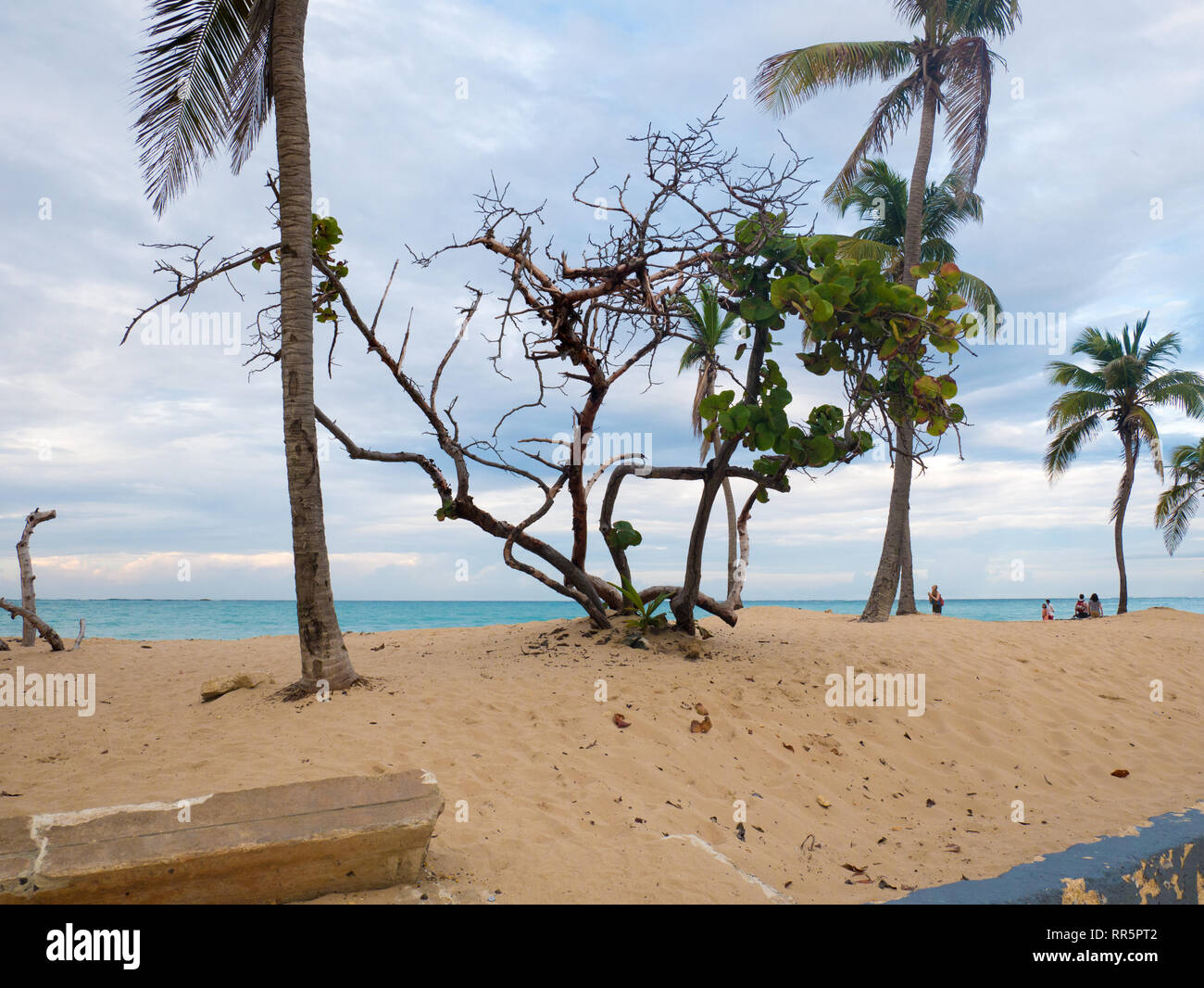 Beau coucher du soleil à Ocean Park Beach à San Juan, Puerto Rico Banque D'Images