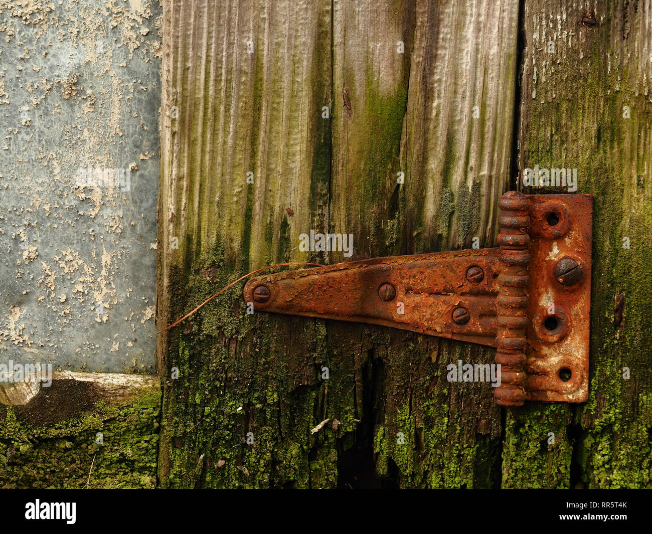 Ancien garage charnière de porte rouillé avec de plus en plus de mousse Banque D'Images