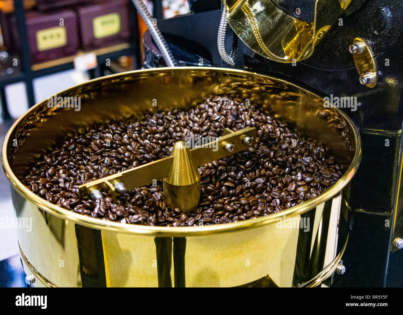 Grains de café en café, l'arabica torréfacteur de café torréfié crop Banque D'Images