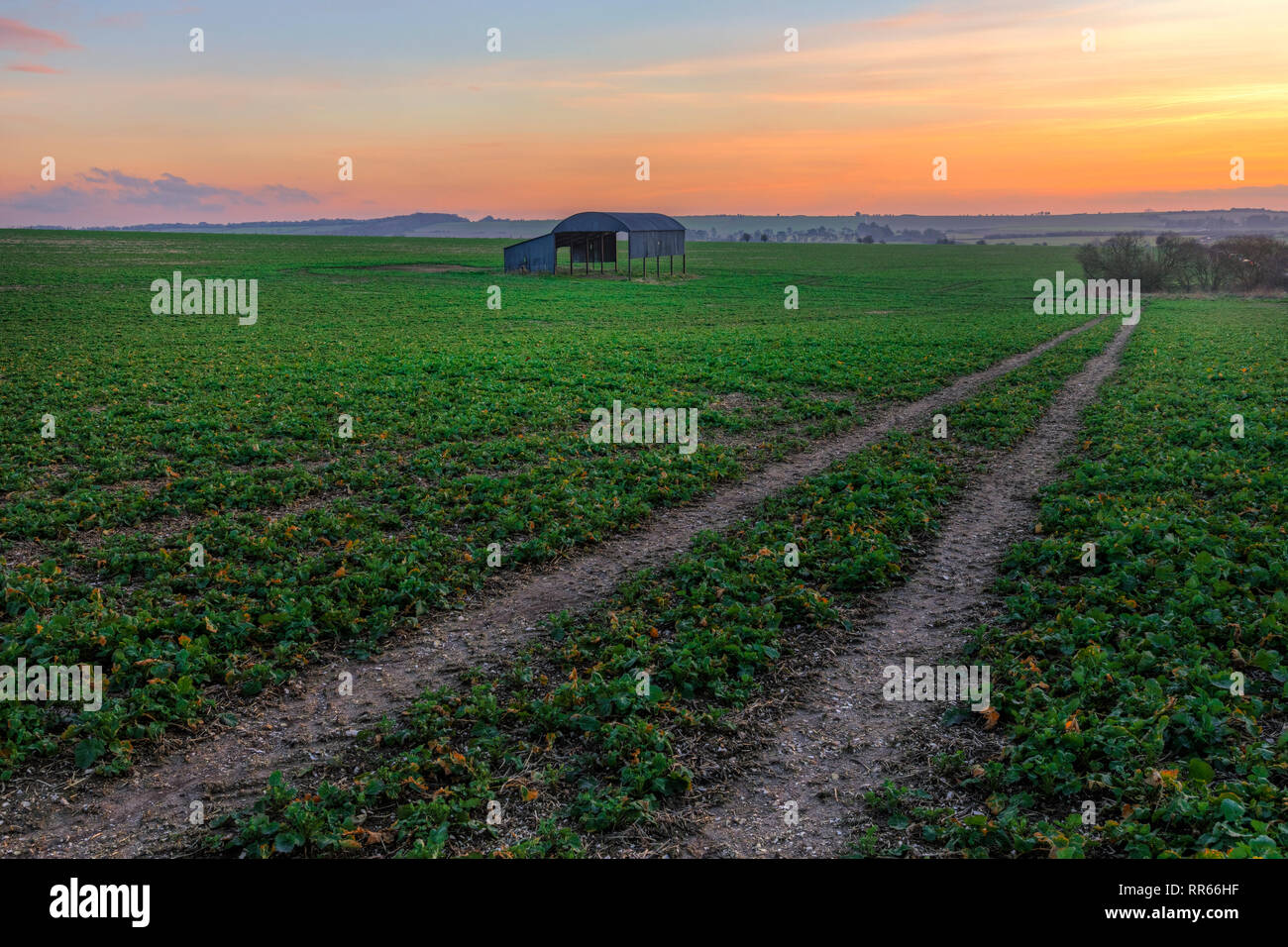 Sixpenny Handley, Dorset, England, UK Banque D'Images