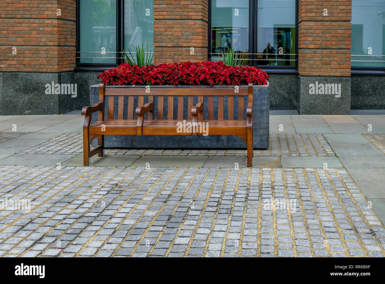 Banc en bois poli avec trois sièges en face d'une fleur du semoir. Le rouge et le vert des plantes. Dans la centrale au milieu d'un sentier pédestre. Banque D'Images