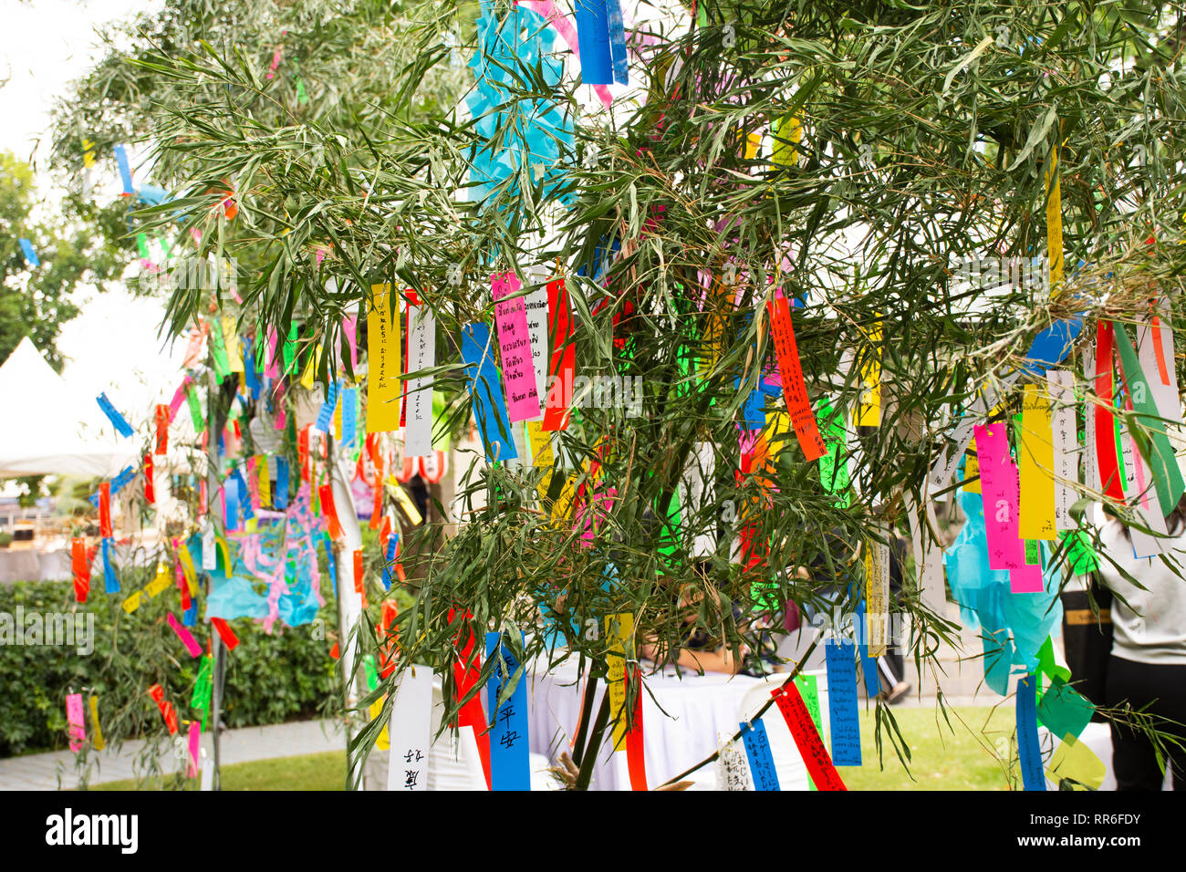 Les gens d'affaires inscrivez-vous et souhaite écrire sur papier et l'accrocher sur l'arbre en bambou Tanabata festival japonais Star ou le Japon au village le 8 juillet, 2018 à Ay Banque D'Images