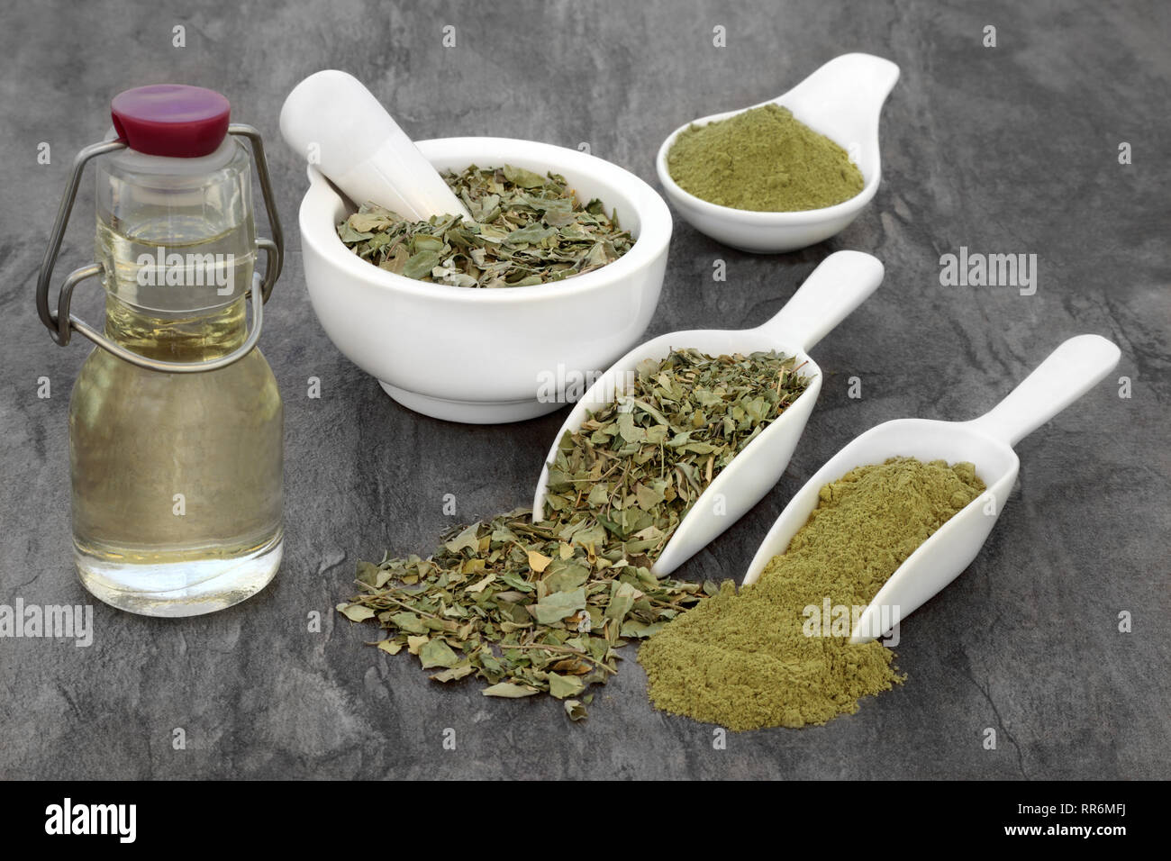 Oliefera Moringa herb Feuille, huile et poudre utilisé pour traiter  l'anémie, le rhumatisme, le cancer, la diarrhée, le diabète, la  constipation et la perte de poids Photo Stock - Alamy