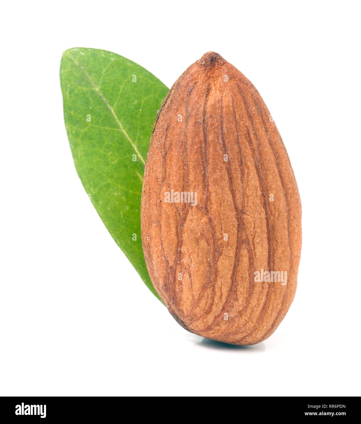 Feuille d'amandes décortiquées avec isolé sur fond blanc Banque D'Images