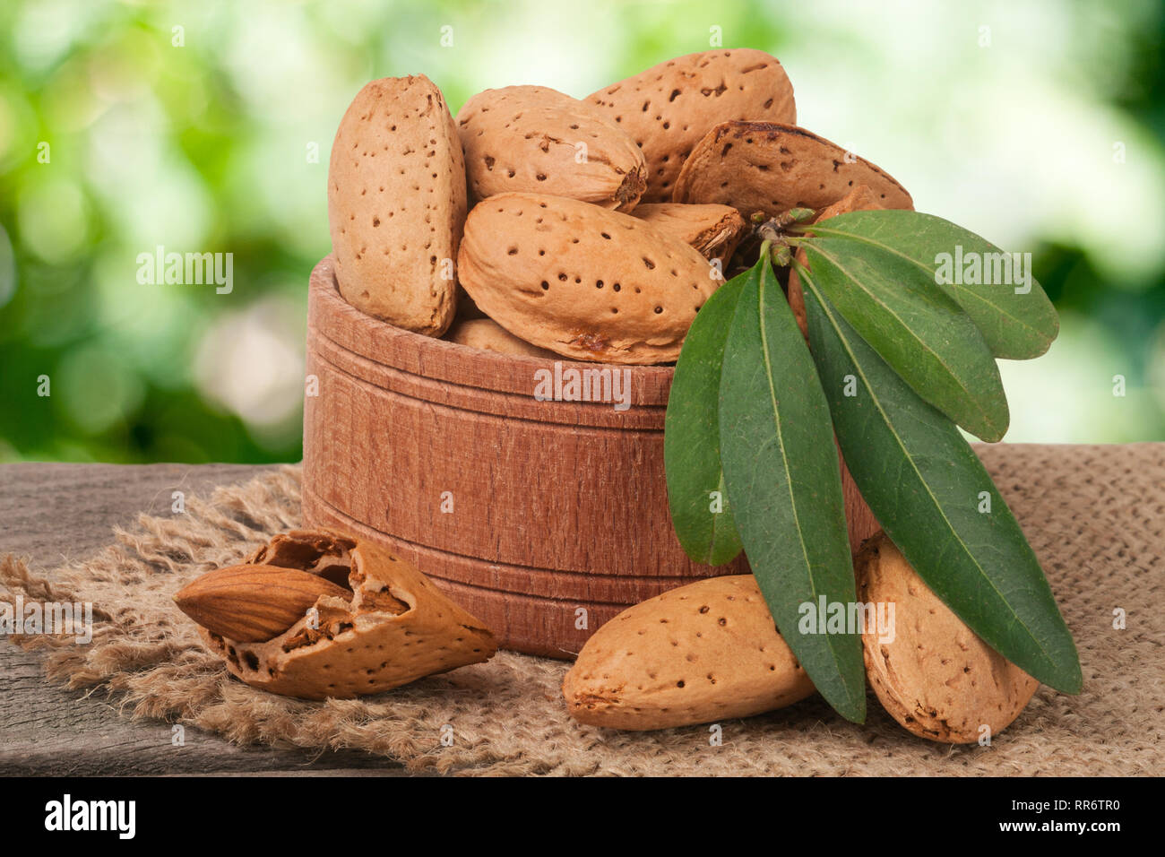 Avec des feuilles d'amandes dans un bol sur la vieille planche de bois jardin contexte trouble Banque D'Images