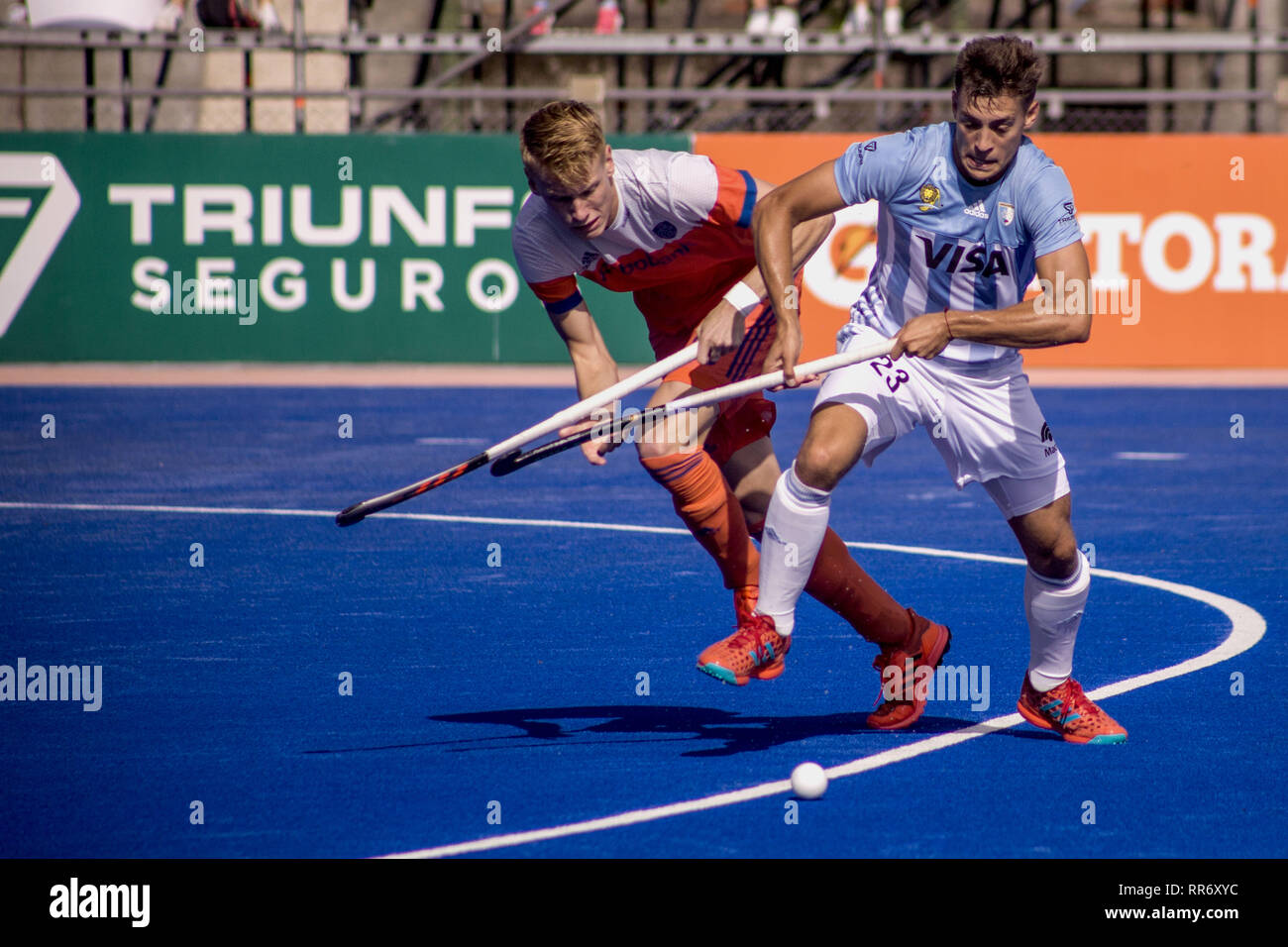 Buenos Aires, capitale fédérale, l'Argentine. Feb 24, 2019. L'équipe masculine de hockey de l'Argentine, également connu sous le nom de Los Leones, a défait l'équipe nationale hollandaise, actuel vice-champion du monde, le dimanche 24 février, avec un score de 4 buts à 3. Les champions olympiques ont remporté leur première victoire dans le nouveau concours . promu par la Fédération Internationale de Hockey après sa défaite contre l'équipe nationale de Belgique, actuel champion du monde et numéro un dans le classement, et après il a été suspendu, samedi dernier, le match contre l'équipe d'Allemagne produit d'une forte tempête. (Crédit Image : © Roberto Alme Banque D'Images