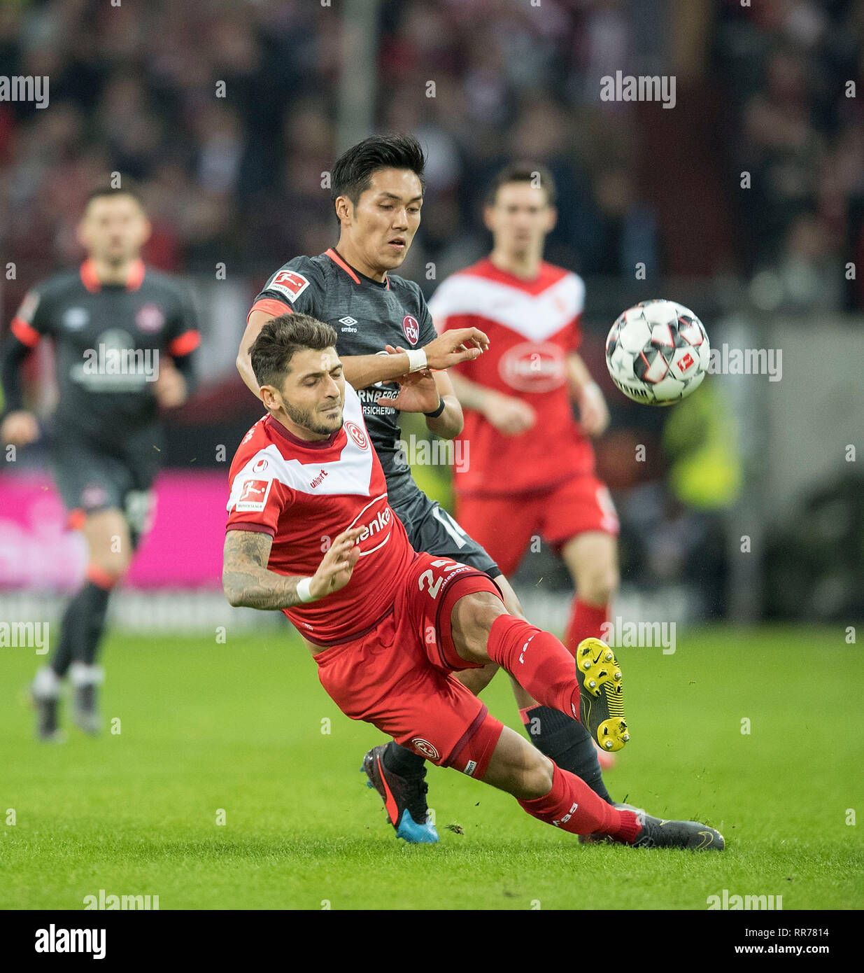 Düsseldorf, Deutschland. Feb 23, 2019. Matthias ZIMMERMANN l. (D) dans les duels contre Yuya KUBO (N), Action, Football 1.Bundesliga, 23.journée, Fortuna Dusseldorf (D) - FC Nuremberg (N), le 23.02.2019 à Düsseldorf/Allemagne. # #  DFL règlement interdit toute utilisation des photographies comme des séquences d'images et/ou quasi-vidéo # #  | Conditions de crédit dans le monde entier : dpa/Alamy Live News Banque D'Images