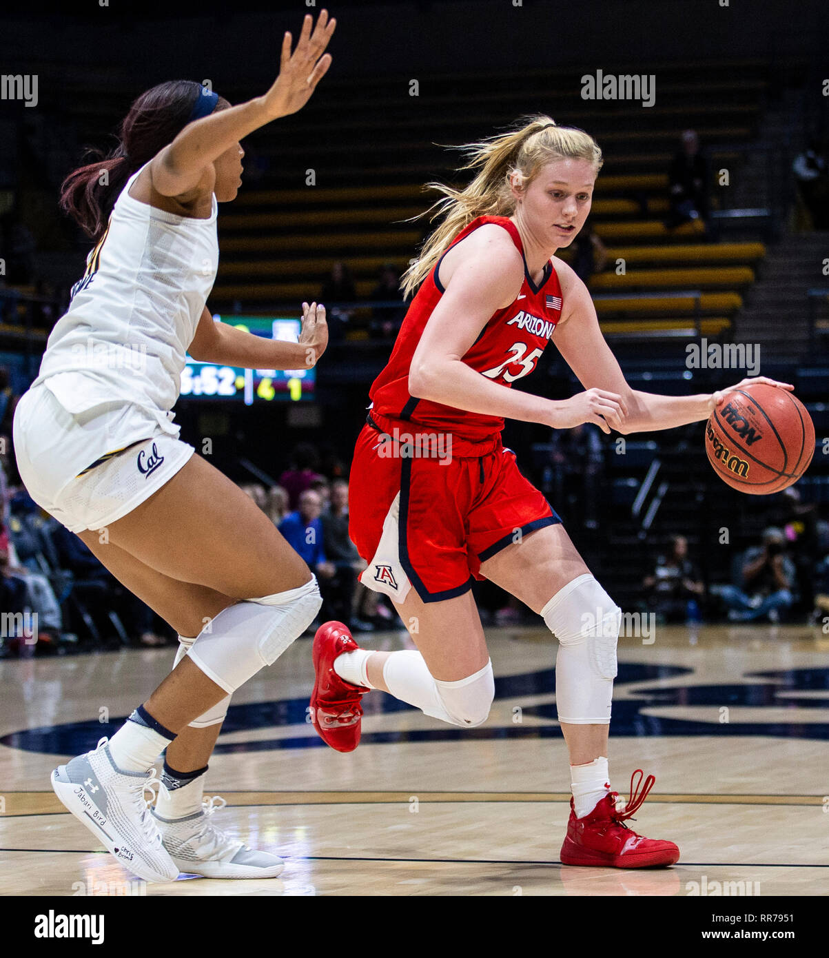 Berkeley, CA 24 Feb 2019, aux États-Unis. A. Avant l'Arizona Cate Reese (25) disques durs au panier pendant la Basket-ball match entre Arizona Wildcats et le California Golden Bears perdu 76-82 à Berkeley en Californie Pavillon Hass Thurman James/CSM/Alamy Live News Banque D'Images