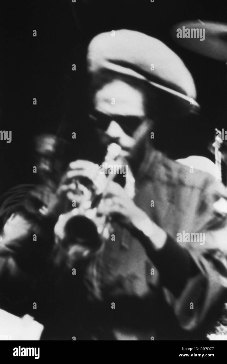 Los Lobos effectuer au cours de la World Music Festival à Taos, Nouveau Mexique. Banque D'Images