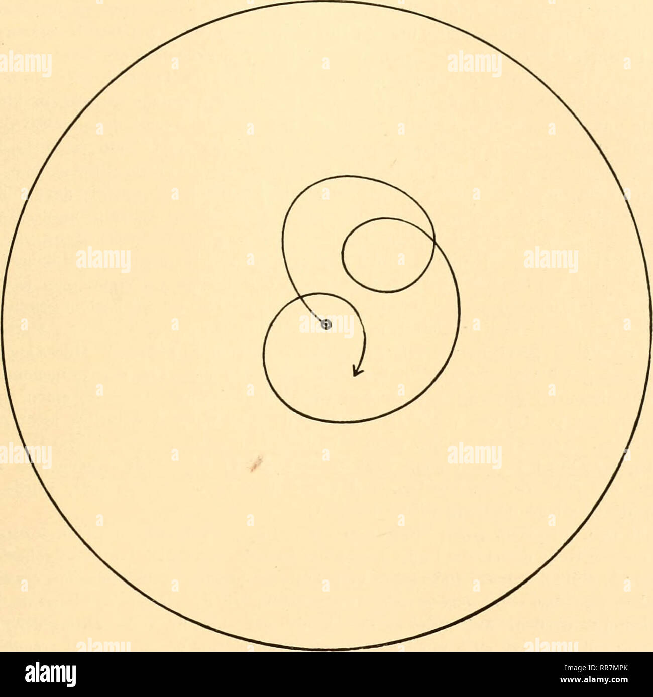 . Abhandlungen. Sciences -- sociétés, etc. Tisch. 13 des Jjeschrielienen Beleiuhtungsapparates im vorigen Chapitre. Aiisspaj ist die-ung ver- und dient zur Aufnahme borgen (Feinbewegungsschraube, deren Griff auf II Tafel gleich Unter dem Tisch zu sehen ist. Nach Einsetzung des mit einem konischen versehenen Tisciies Ansatz dans Uingträger lilcii, seinen) ! Eine freie von Offnimg 45 mm, dii' durch. Figure 4. Der Große Kreis gibt für ein Auge à 25 cm Entfernung das Gesichtsfeld l)ei lOOOfacher Vergrößerung 8wieder. r)ie kreis- m&Lt ; epizyklenartigen Bögen zeigen die Bahn eines Punktes bei Dreh Banque D'Images